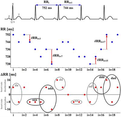 Dynamical Landscape of Heart Rhythm in Long-Term Heart Transplant Recipients: A Way to Discern Erratic Rhythms